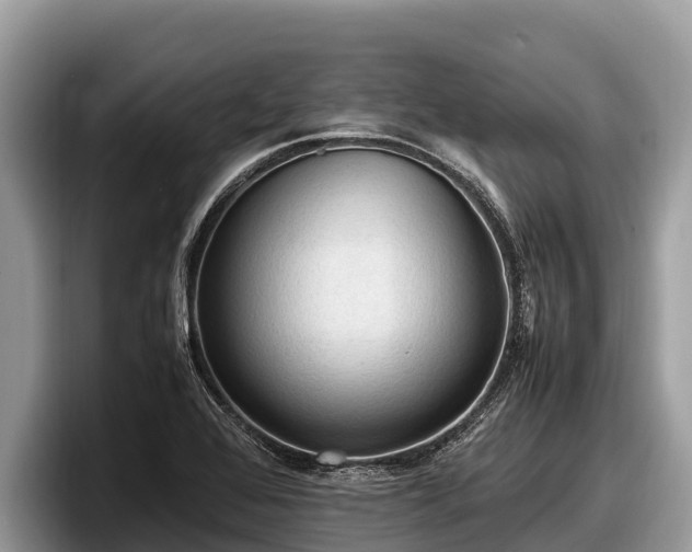 X0000097881368200803211326
