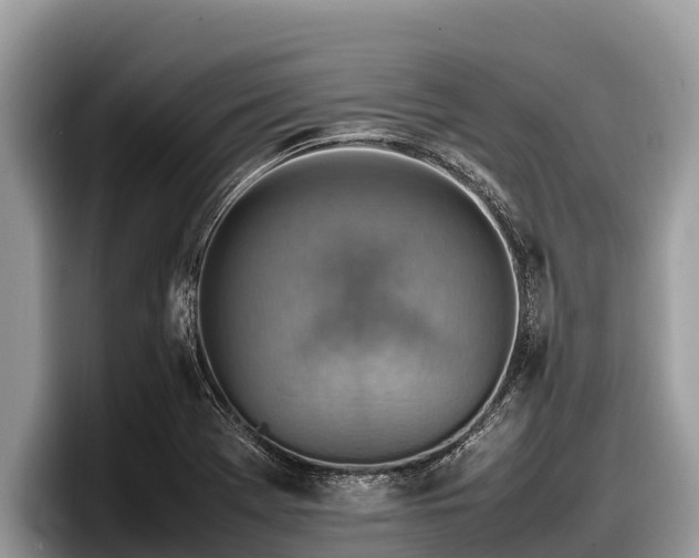 X0000097881369200803211326