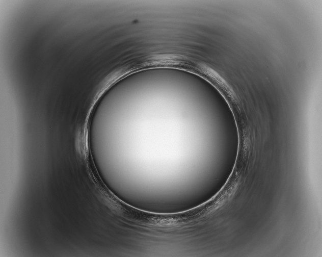 X0000097881370200803211326