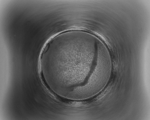 X0000097881371200803211326