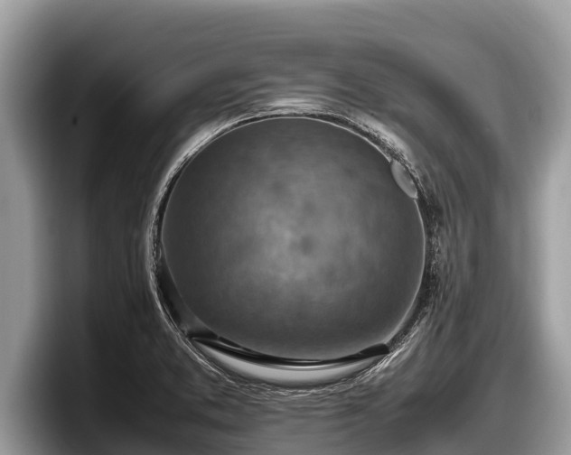 X0000097881373200803211326
