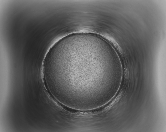 X0000097881374200803211326