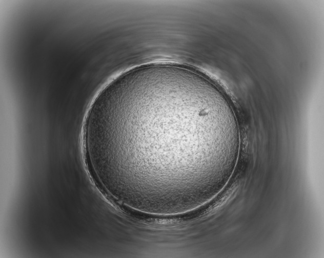 X0000097881375200803211326