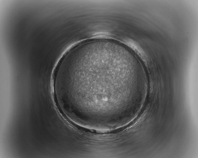 X0000097881376200803211326