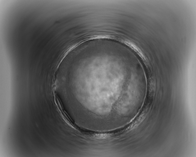 X0000097881377200803211325