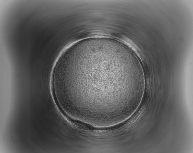 X0000097881379200803211325
