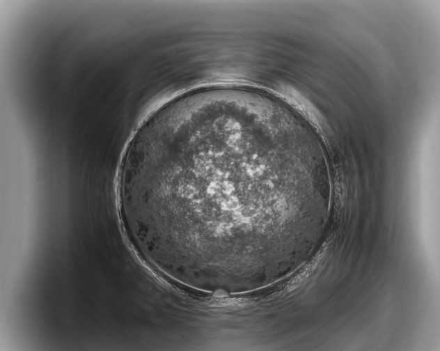 X0000097881382200803211325