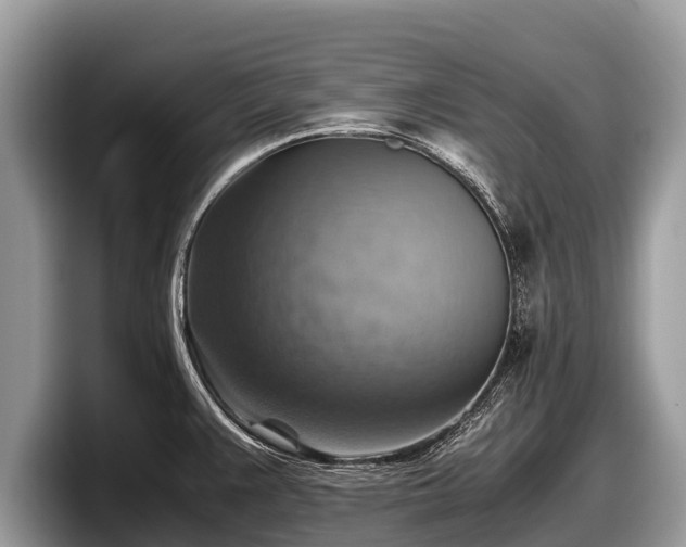 X0000097881383200803211325