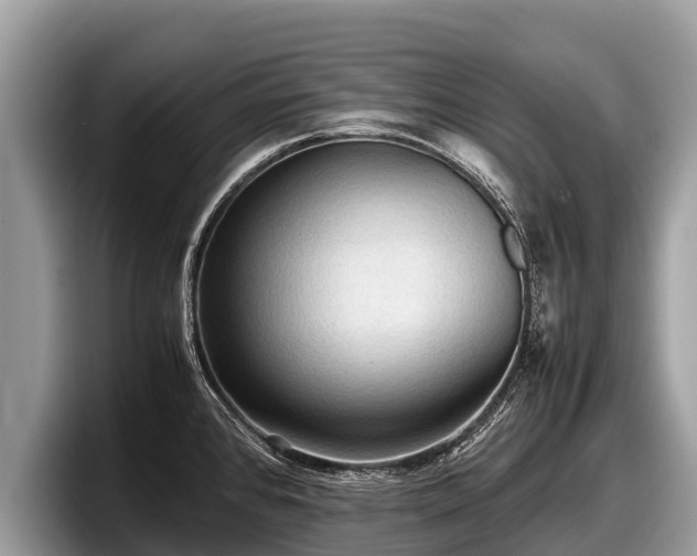 X0000097881384200803211325