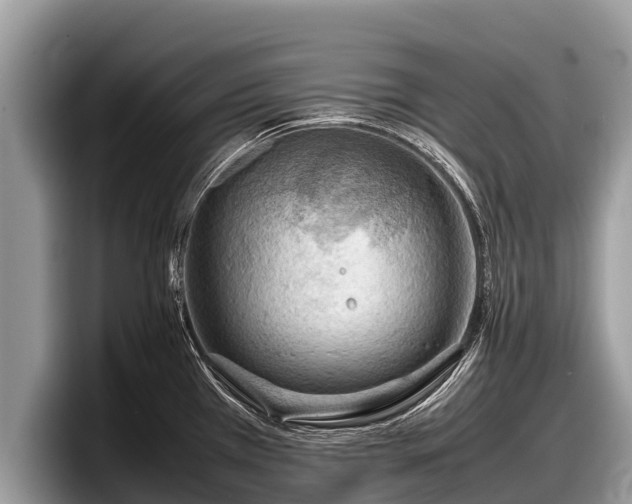 X0000097881385200803211325