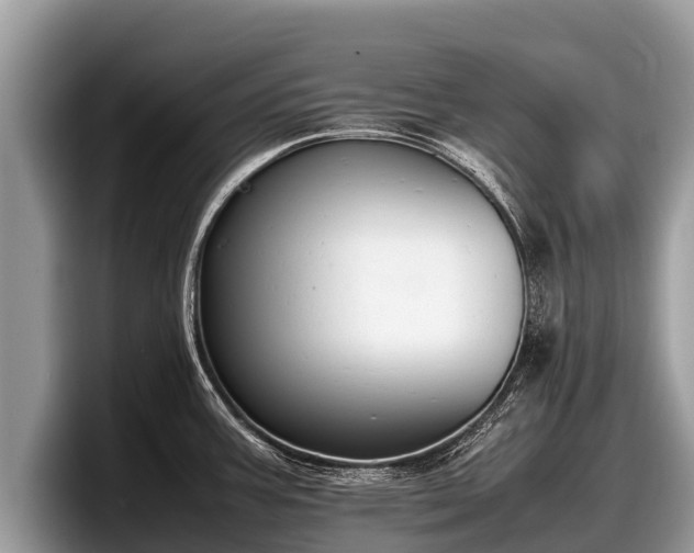 X0000097881387200803211325