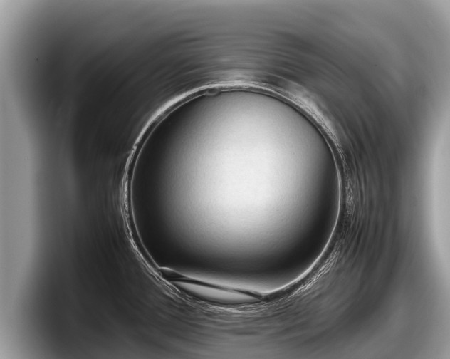 X0000097881388200803211325