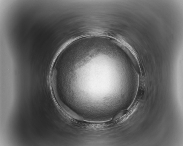 X0000097881389200803211325