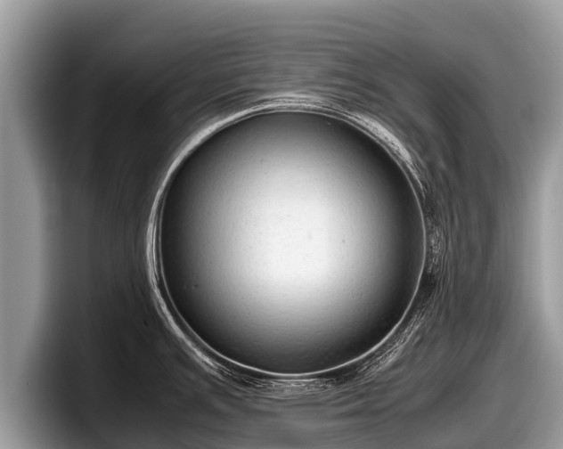 X0000097881391200803211325