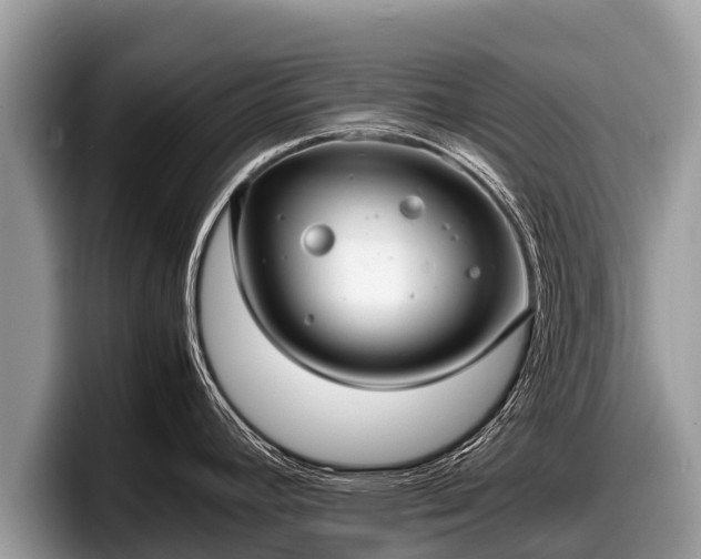 X0000097881392200803211325
