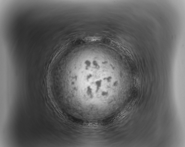 X0000097881393200803211325