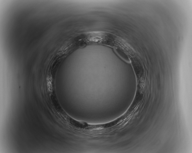 X0000097881394200803211325