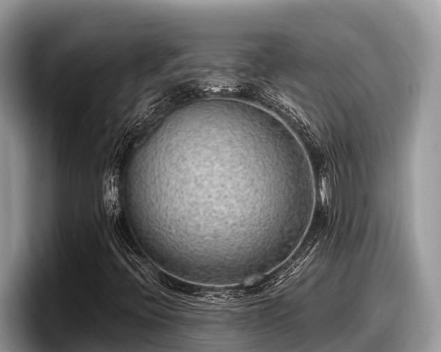 X0000097881396200803211325