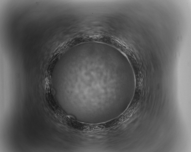 X0000097881397200803211325