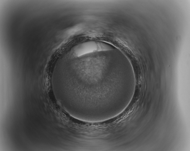 X0000097881398200803211325