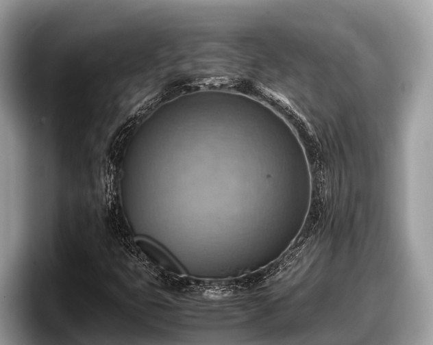 X0000097881399200803211325