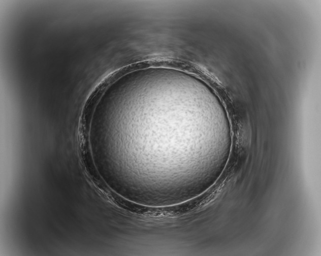 X0000097881400200803211325
