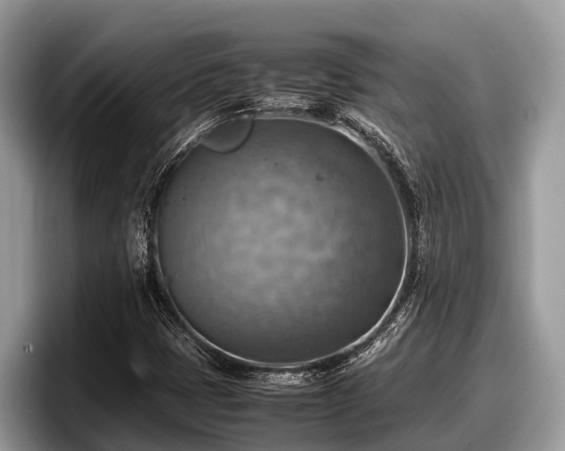 X0000097881401200803211325