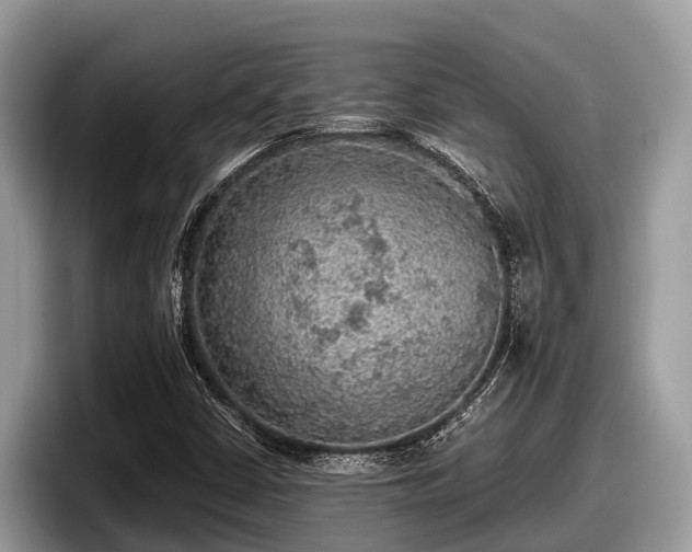 X0000097881402200803211325
