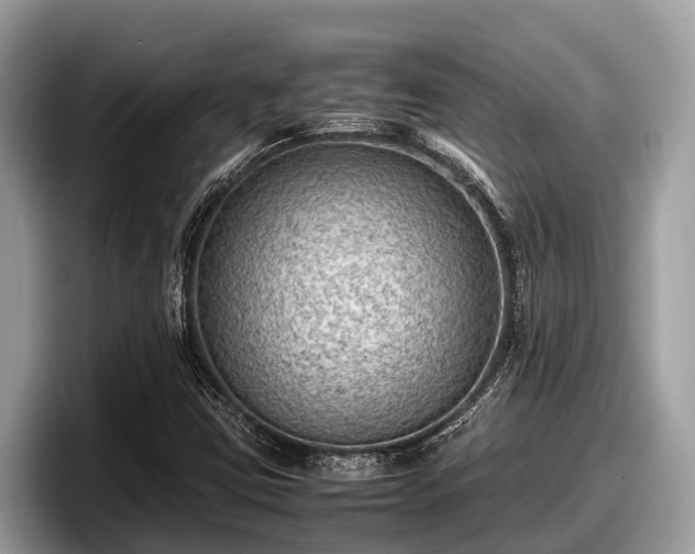 X0000097881403200803211325