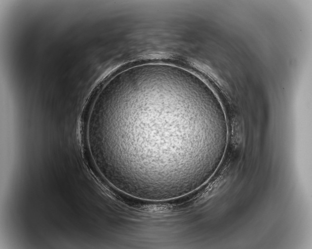 X0000097881404200803211325