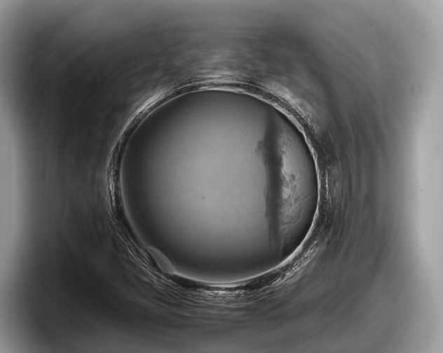 X0000097881405200803211325