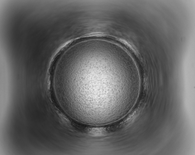 X0000097881406200803211325