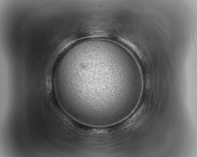 X0000097881407200803211325