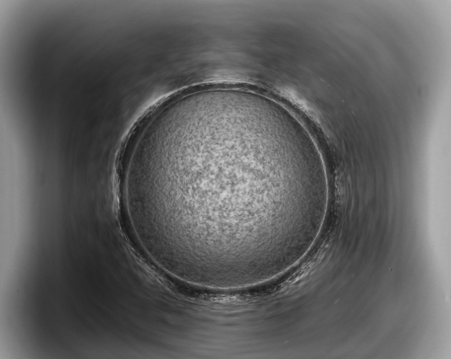 X0000097881408200803211325
