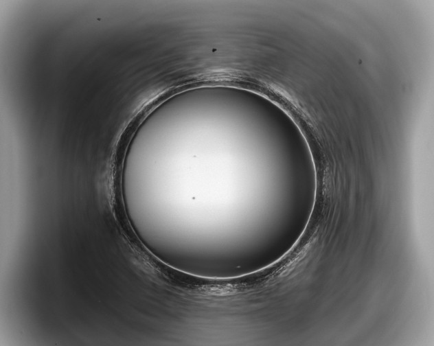 X0000097881410200803211325