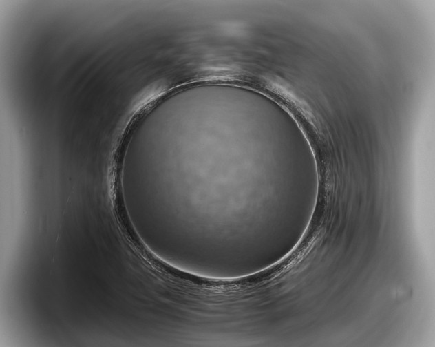 X0000097881411200803211325