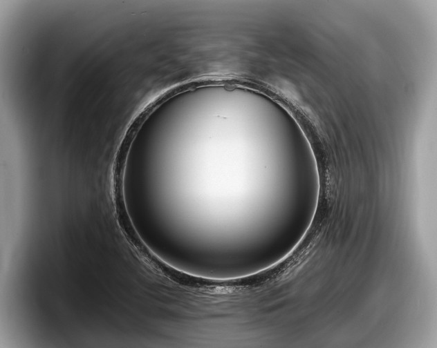 X0000097881412200803211325