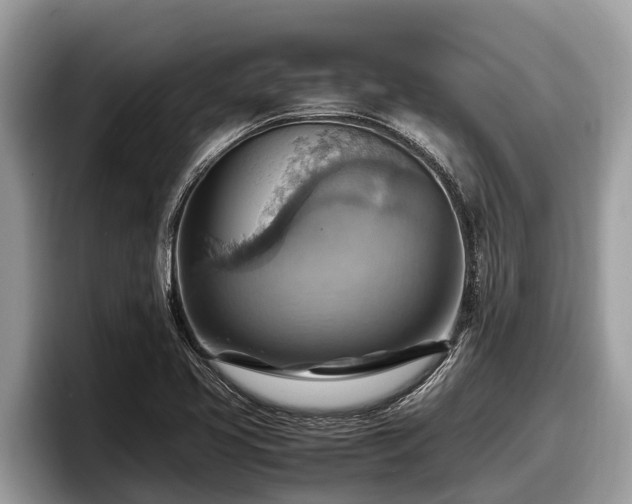 X0000097881413200803211325
