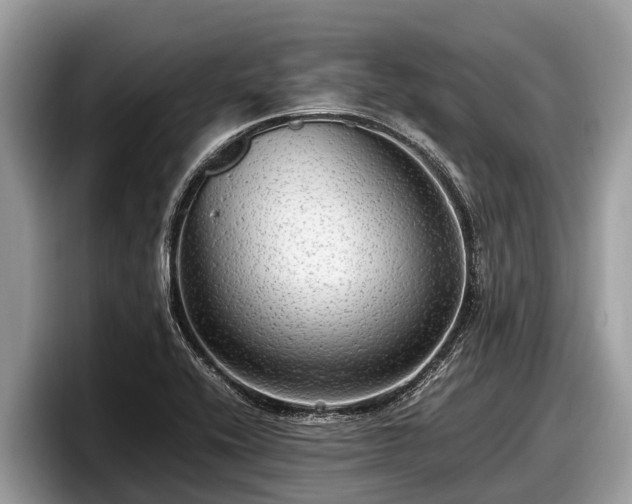 X0000097881416200803211325