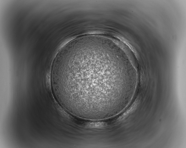 X0000097881417200803211325