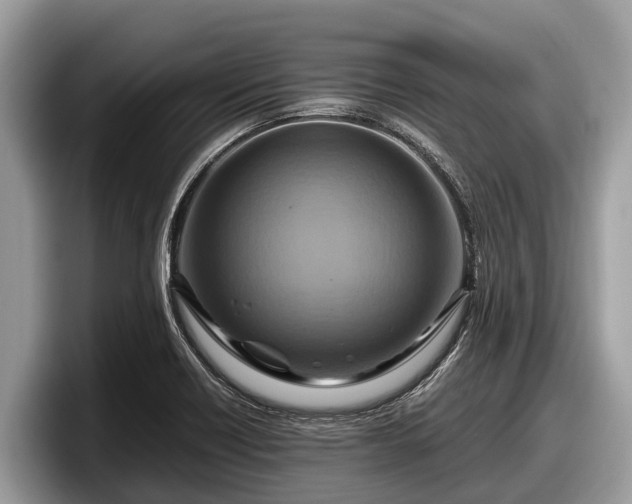X0000097881418200803211325