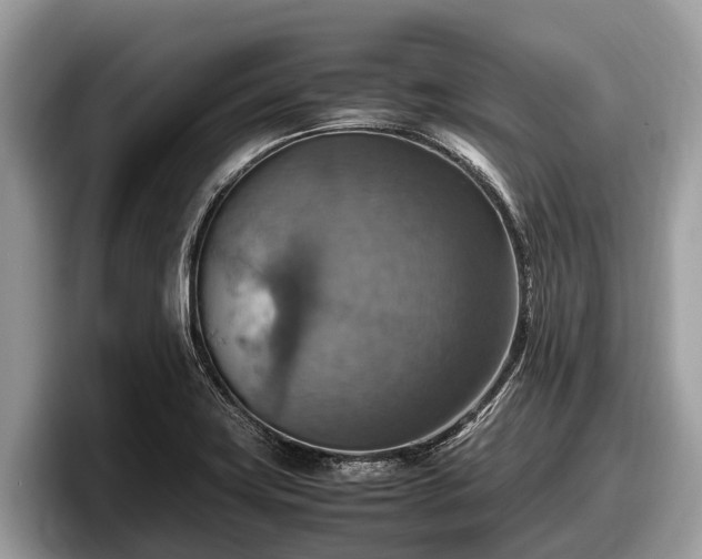 X0000097881419200803211325