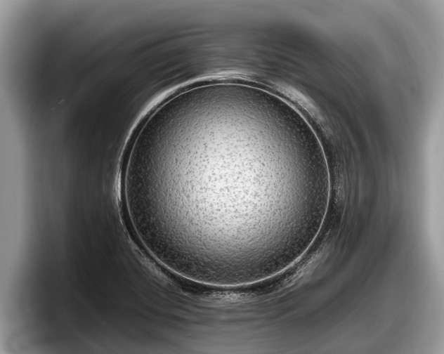 X0000097881420200803211325
