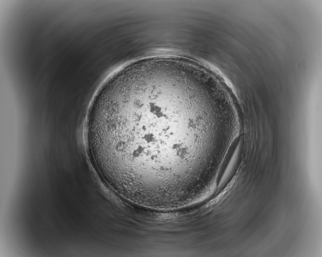 X0000097881421200803211325
