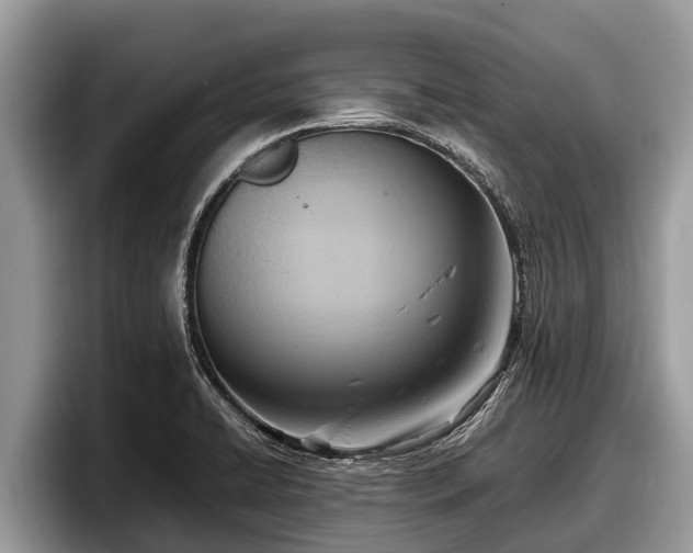X0000097881422200803211325