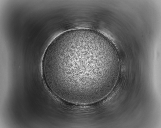 X0000097881423200803211325