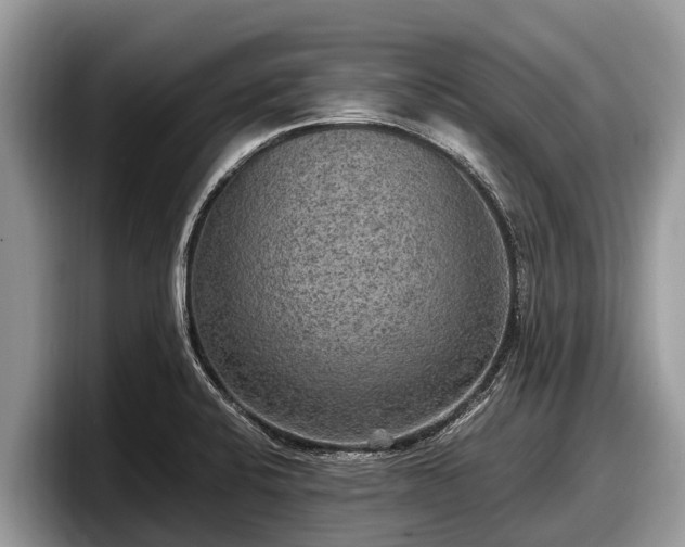 X0000097881424200803211325