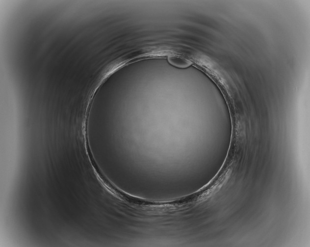 X0000097881425200803211325