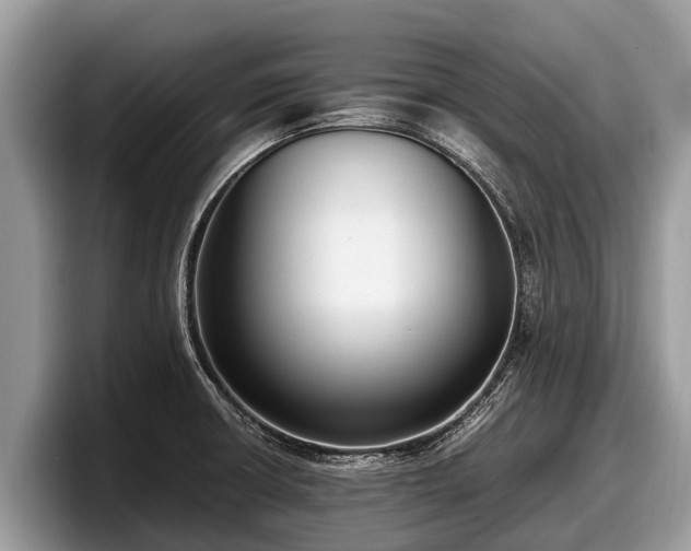 X0000097881426200803211325