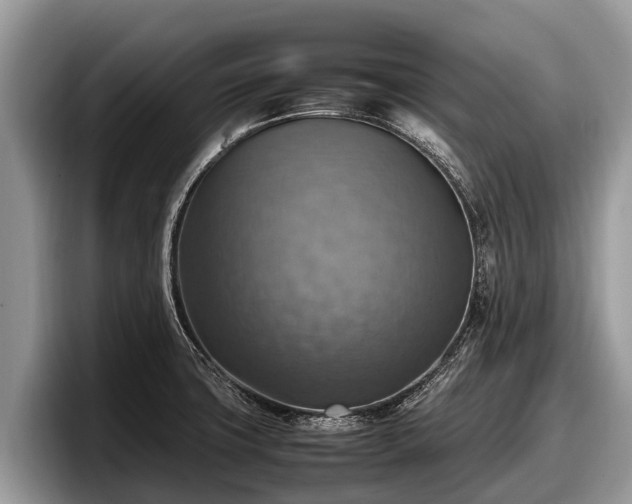 X0000097881427200803211325